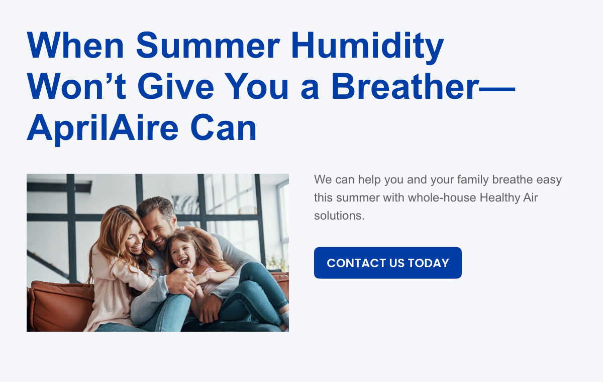 Summer-Email-Asset